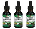 「お得な3本セット」Nature's Answer社 ブラック ウォールナッツ&ヨモギ アルコールフリー 2mlあたりアルテミシア2,000 mg配合 30 m...