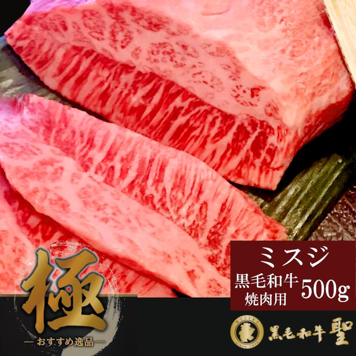 µ̥ߥ  500g  ߥ BBQ 塼 ǥʡ ѡƥ   ӤΤ   µ  ֤ 󥭥 ͵ ե ѡƥ 