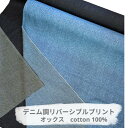 生地 デニムプリント ヒッコリー リバーシブル布 オックス生地 ハンドメイド 手作り 裁縫 入園 入学 通園 幼稚園 小学校 レッスンバッグ 巾着袋 ランチョンマット 【50cm以上10cm単位 メール便2m】(3)