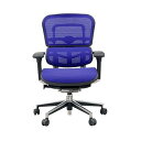 【中古】旧型 Ergohuman オフィスチェア ベーシック ロータイプ EH-LAM F-BL KMD-35