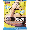 【中古】TRUSCOトラスコ 塩飴 塩の力 750g レモン味 詰替袋 1袋入 TNL-750CN