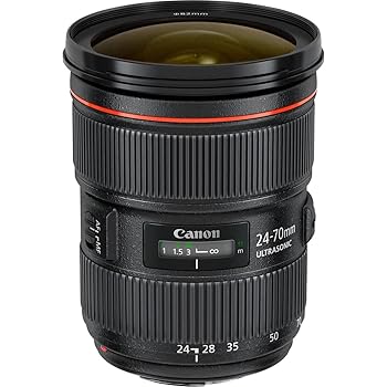 【中古】Canon 標準ズームレンズ EF24-70mm F2.8L II USM フルサイズ対応 【中古】Canon 標準ズームレンズ EF24-70mm F2.8L II USM フルサイズ対応