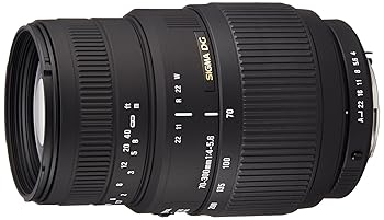 【中古】SIGMA 望遠ズームレンズ 70-300mm F4-5.6 DG MACRO ソニーAαマウント