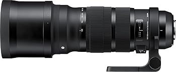【中古】SIGMA 120-300mm F2.8 DG OS HSM | Sports S013 | Canon EFマウント | Full-Size/Large-Format 【中古】SIGMA 120-300mm F2.8 DG OS HSM | Sports S013 | Canon EFマウント | Full-Size/Large-Format