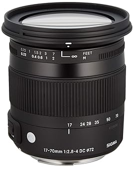 【中古】SIGMA 17-70mm F2.8-4 DC MACRO OS HSM | Contemporary C013 | Nikon F-DXマウント | APS-C/Super35