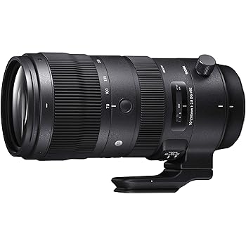 【中古】SIGMA 70-200mm F2.8 DG OS HSM | Sports S018 | Sigma SAマウント | Full-Size/Large-Format