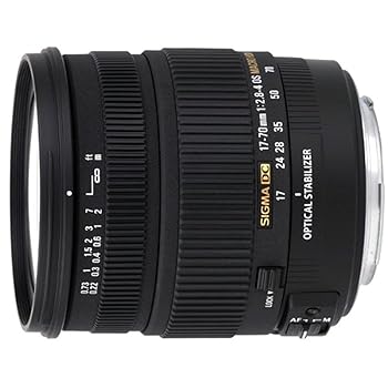 【中古】シグマ 17-70mm F2.8-4 DC MACRO OS HSM シグマ用