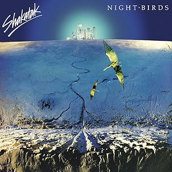 【中古】Night Birds