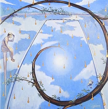 【中古】ナポレオンフィッシュと泳ぐ日