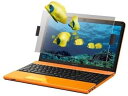 【中古】ソニーVAIO 3Dパネル VGP-FL3D15B(2)
