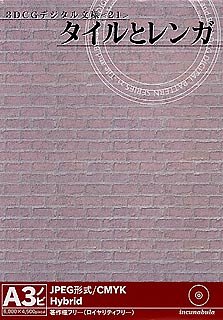 【中古】3DCGデジタル文様 21 タイルとレンガ」