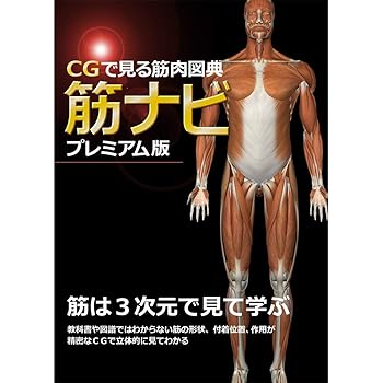 楽天ドリエム楽天市場店【中古】CGで見る筋肉図典 筋ナビプレミアム版