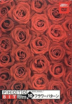 【中古】Photobit 10 フラワーパターン