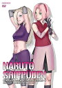 【中古】NARUTO-ナルト-疾風伝 ナルトの背中~仲間の軌跡~4 DVD