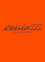 【中古】ヱヴァンゲリヲン新劇場版:破 EVANGELION:2.22 YOU CAN NOT ADVANCE.DVD