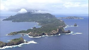 【中古】ワイルドライフ 世界自然遺産 小笠原諸島 絶海の楽園に奇跡の進化を見た DVD