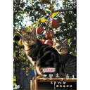 【中古】岩合光昭の世界ネコ歩き スペシャル 津軽の四季 DVDNHKスクエア限定商品(2)