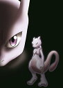 【中古】劇場版ポケットモンスター ベストウイッシュ 神速のゲノセクト ミュウツー覚醒 DVD