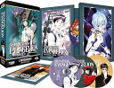 【中古】新世紀エヴァンゲリオン TV版 プラチナ コンプリート DVD-BOX 全26話+ディレクターズカット版4話, 660分 DVD Import