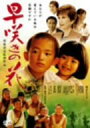 【中古】早咲きの花 DVD