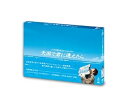 【中古】天国で君に逢えたら DVD