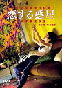 【中古】恋する惑星 DVD