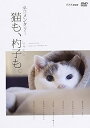 【中古】ネコメンタリー 猫も、杓子も。 DVD