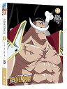【中古】ワンピース ONE PIECE: COLLECTION 19