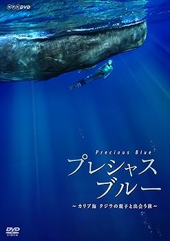 【中古】プレシャス・ブルー カリブ海・クジラの親子と出会う旅 DVD