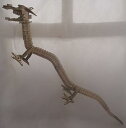 【中古】ウルトラ怪獣シリーズ ソフビ 1993 ナース ゴールド