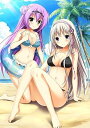 【中古】プラマイウォーズV 限定版 オリジナルサウンドトラック・特製パイタッチスルーケース - PS Vita(3)