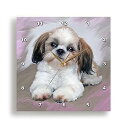 【中古】3Dローズ 犬 シーズー - シーズー 子犬 - 壁時計 - 約25 x 25cm 10 x 10インチ 壁時計 - dpp_4807_1 並行輸入