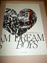 【中古】パンフレット ★ 亀梨和也・田中聖・薮宏太 2008 舞台 DREAM BOYS 東京公演
