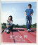 【中古】映画パンフレット 虹の女神 監督:熊澤尚人.出演:市原隼人.上野樹里.蒼井優.酒井若菜.鈴木亜美 5,980円