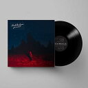 【中古】Punisher -Gatefold- Analog