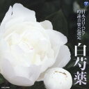 【中古】平成二十五年度第四十九回日本コロムビア全国吟詠コンクール課題吟 白芍薬(2)