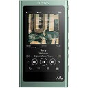 【中古】ソニー ウォークマン Aシリーズ 16GB NW-A55HN : MP3プレーヤー Bluetooth microSD対応 ハイレゾ対応 最大45時間連続再生 2018年モデル ホライズ(2)