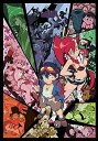【中古】グレンラガン パラレルワークス2 完全生産限定版 DVD