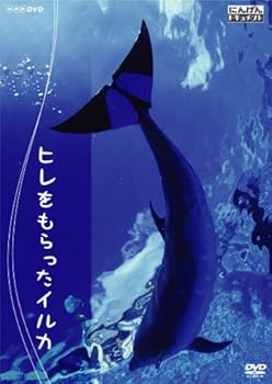【中古】(良い）にんげんドキュメント ヒレをもらったイルカ [DVD]