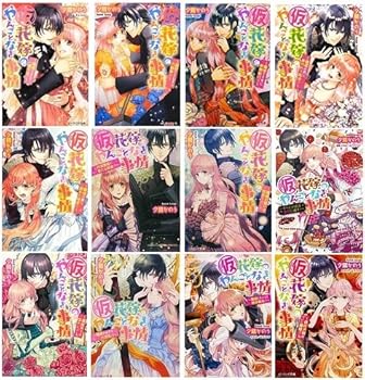 【中古】(仮)花嫁のやんごとなき事情 文庫 1-12巻セット (ビーズログ文庫)