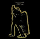 【中古】ELECTRIC WARRIOR(2)