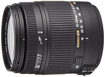 【中古】SIGMA 高倍率ズームレンズ 18-250mm F3.5-6.3 DC MACRO OS HSM シグマ用 APS-C専用 883560 【中古】SIGMA 高倍率ズームレンズ 18-250mm F3.5-6.3 DC MACRO OS HSM シグマ用 APS-C専用 883560