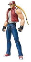 【中古】(良い)TAMASHII NATIONS D-Arts テリー・ボガード(3)