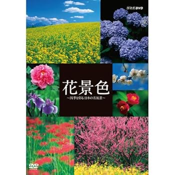 【中古】花景色 〜四季を彩る 日本の名風景〜【NHKスクエア限定商品】