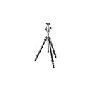 【中古】(良い)GITZO 三脚 マウンテニア 2型 カーボン 4段 ボール雲台QDキット GK2542-82QD