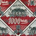 【中古】1000 WATTS(2)