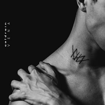 【中古】(良い）VENA/LTD.VINYL+DOWNLOA [Analog](2)