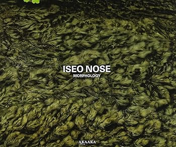 【中古】(良い)ISEO NOSE : MORPHOLOGY 能勢伊勢雄:形態学