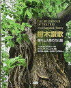 【中古】(良い)樹木讃歌: 樹木と人間の文化誌