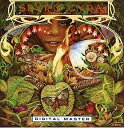 【中古】Morning Dance